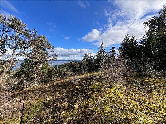 2nd image of 59 X Moose Mountain Road