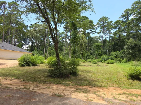 Township Road 28 Oak Pine Dr, Livingston, TX 77351