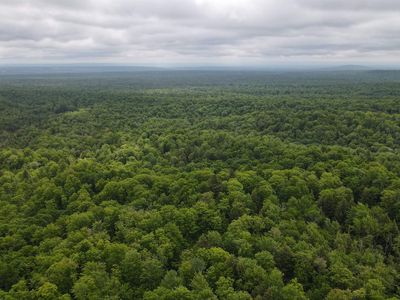 Donken Tapiola Rd, Pelkie, MI, 49958