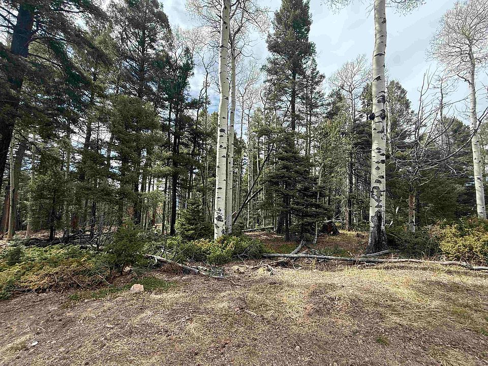 1st image of Lot 13 Back Basin Rd