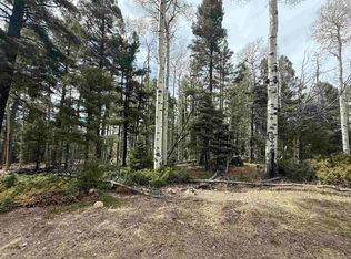 Lot 13 Back Basin Rd, Angel Fire, NM 87710