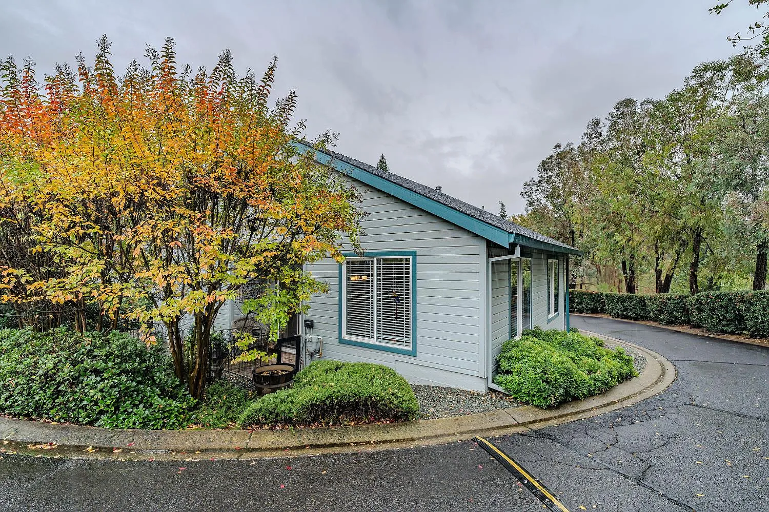 1205 Annalee Dr photo 1