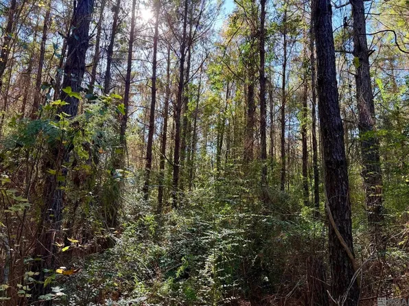 25 Bobcat Trl, Amite, LA 70422