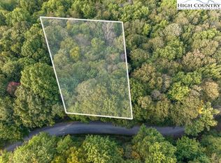 113 Raccoon Rd, Banner Elk, NC 28604