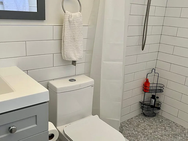 Shower at primary bath