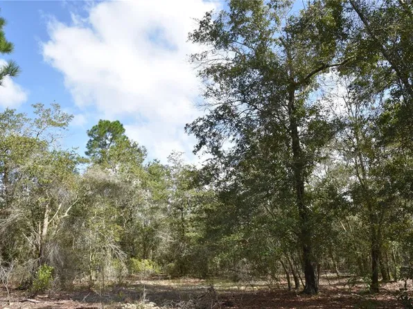 9150 SE US HIGHWAY 301, HAWTHORNE, FL 32640