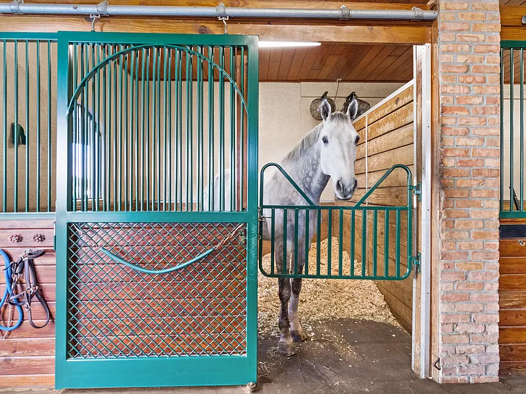 3509 Grand Prix Farms Dr — Photo 10