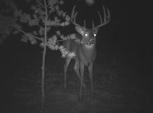 32062 159th Ave, Menahga, MN 56464