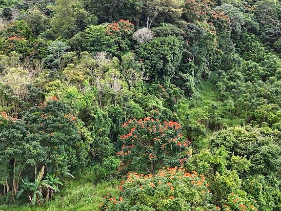 4th image of 0 Manati Bo Rio Arriba