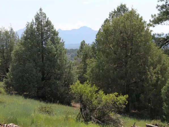 600 Engleman Place, Pagosa Springs, CO 81147