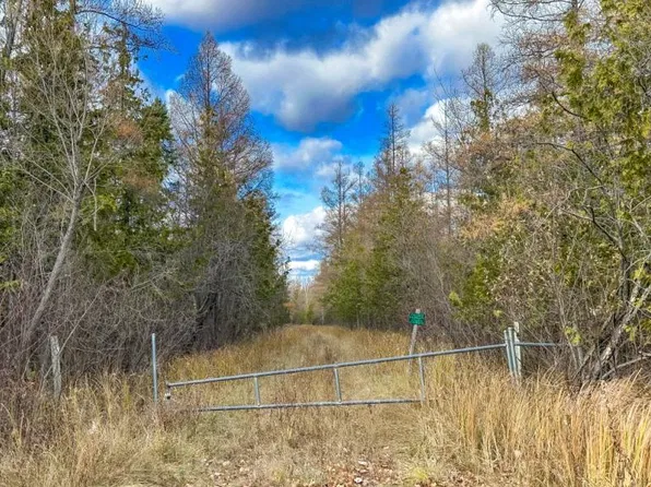 Cedar Dr, Hubbard Lake, MI 49747