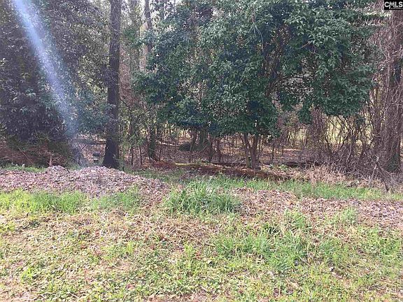2nd image of 213 Corley Woods Dr