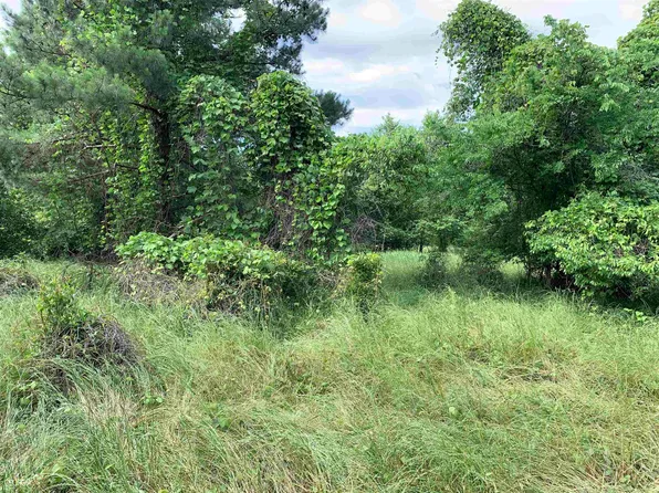 512 Halcyondale Rd, Sylvania, GA 30467