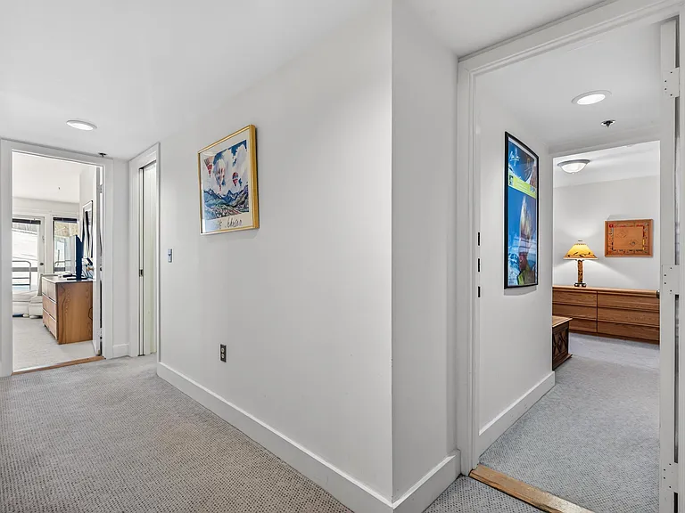 790 Stratton Mountain Access Rd — Photo 13