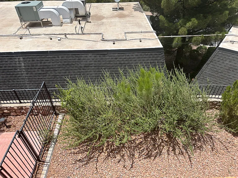 Landscaping near downstairs neighbor
