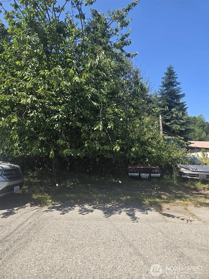 7468 Mill Avenue photo 1