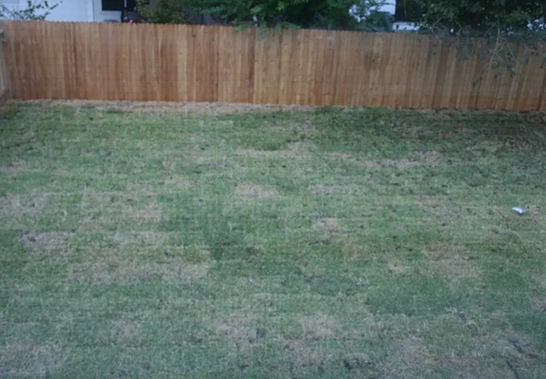 2626 Needles Throw Ln — Photo 7