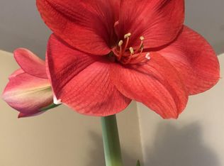 1017 Megcole Ct SW, Mableton, GA 30126