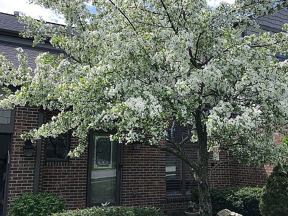 2nd image of 23W381 Green Trails Dr