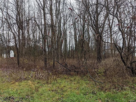 2nd image of 0 Obrien Rd