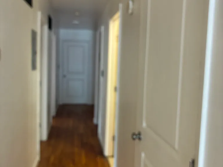 409 Halsey St #1 — Photo 8