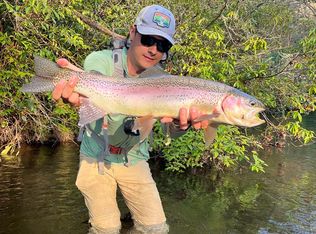 2 Tate Cove Rd, Hayesville, NC 28904