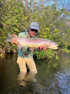 2 Tate Cove Rd, Hayesville, NC, 28904