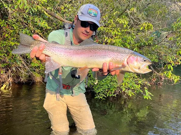 2 Tate Cove Rd, Hayesville, NC 28904