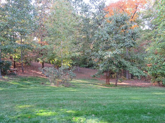Gorgeous private backyard