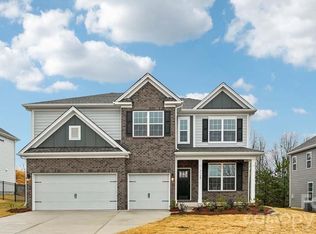 5035 Blue Serenity Ct, Denver, NC 28037