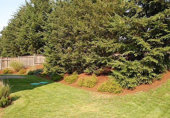 3rd image of 17217 89th Avenue Ct E