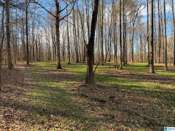 820 Highway 24 LOT 3, Montevallo, AL 35115