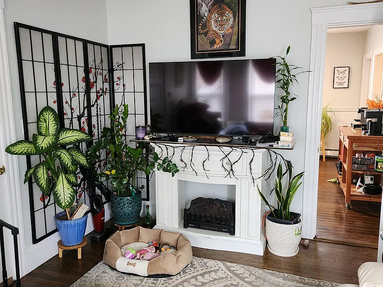 52 Beaver St #1 — Photo 17