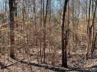 15 Cardinal Dr, Guntersville, AL 35976