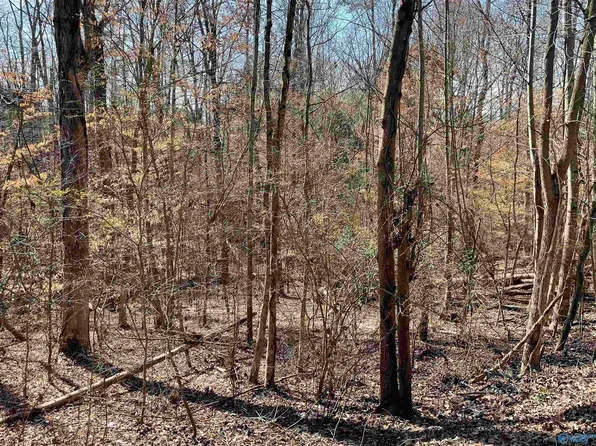 15 Cardinal Dr, Guntersville, AL 35976