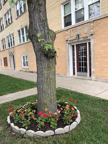 1st image of 3214 W Berteau Ave #1