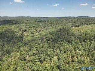 Stanley Rd, Brookwood, AL 35444