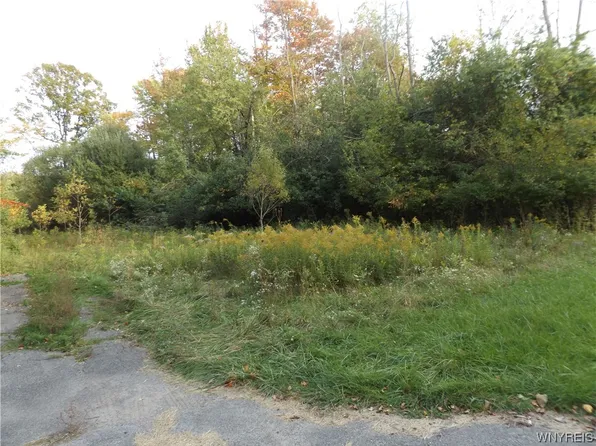 LOT 10 Glen Avon Rd E, Grand Island, NY 14072