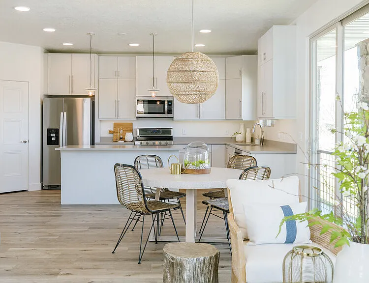 Stainless steel appliances including a double gas ovens