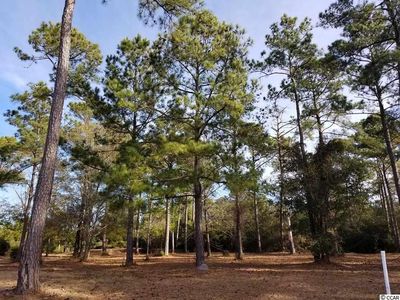 1530 Bellini Ct, Myrtle Beach, SC, 29579