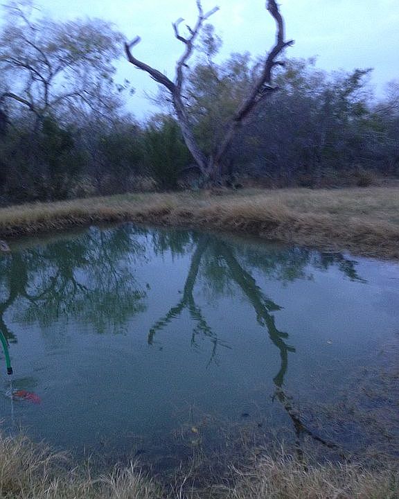 1st image of 15679 Fm 1344