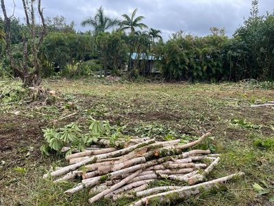 Pilikai Rd, Keaau, HI, 96749