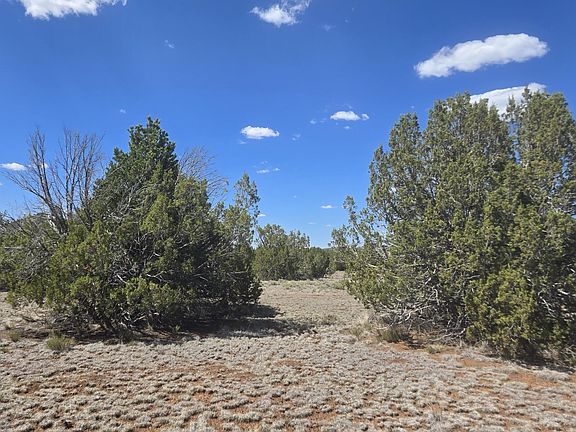 3rd image of 7950 Daisy Dr Lot 25