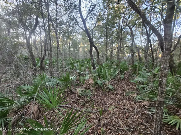 0 Atwood Dr, Webster, FL 33597