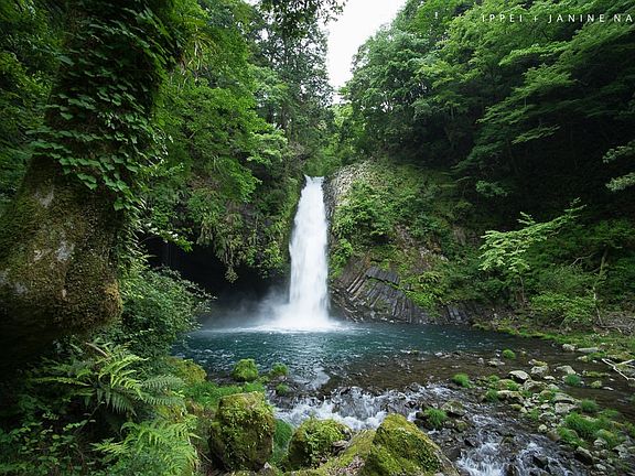 Waterfall In The Area