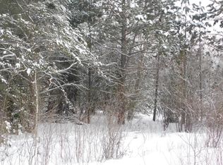 100 S Walsh Rd, Mio, MI 48647