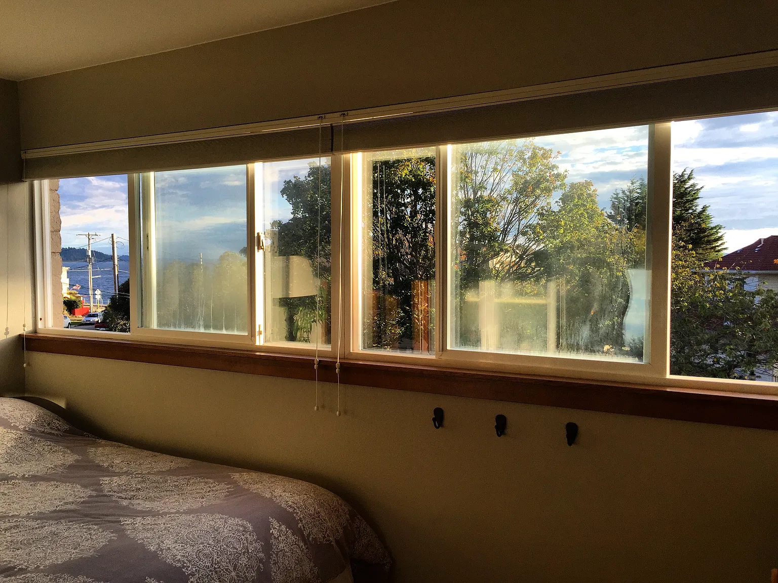 1 bed, 356 sqft, $1,550 — Photo 4