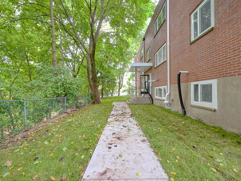 245 Elm St #1 — Photo 11