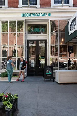 Rented by MNS | media 59