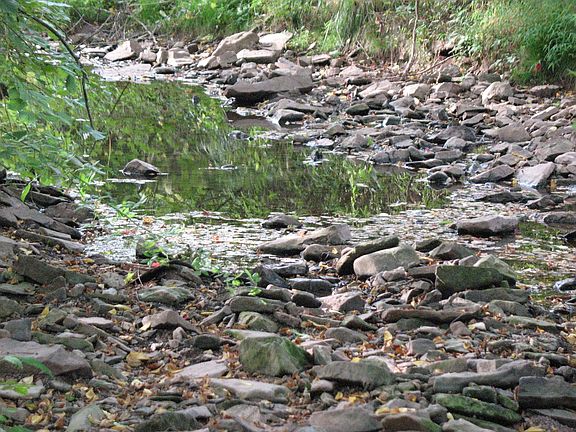 STREAM RUNS THE LENGTH OF THE PROPERTY